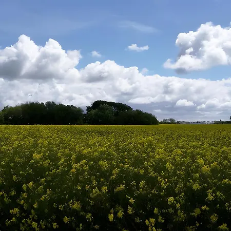 Appartement Druidenhain Hof Neudamm Neukirchen (Nordfriesland)