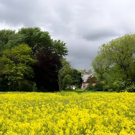 Druidenhain Hof Neudamm Appartement *