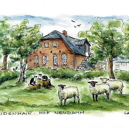 Druidenhain Hof Neudamm Neukirchen (Nordfriesland)
