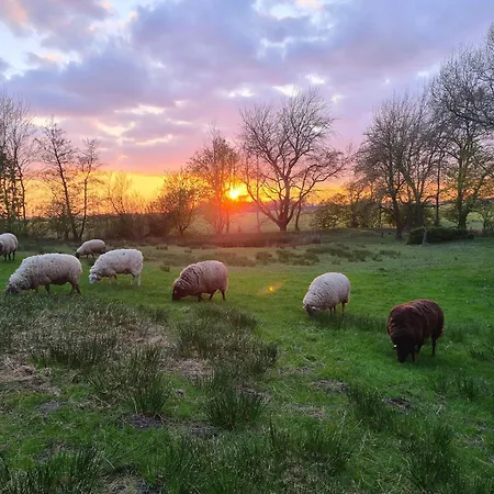 Druidenhain Hof Neudamm *